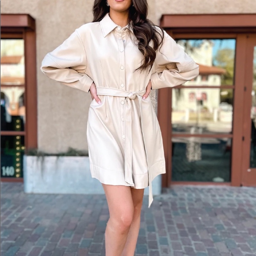 ELLIATT Sabrina Dress in Bone Small
